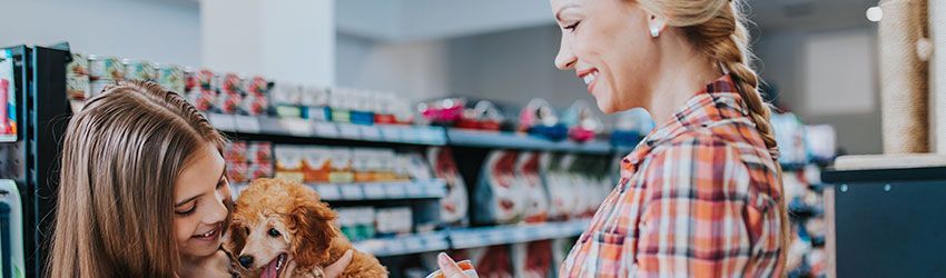 Pet shop: como atrair clientes para o meu negócio?